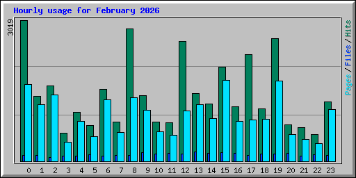 Hourly usage for February 2026
