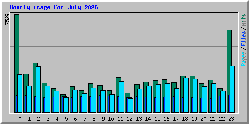Hourly usage for July 2026
