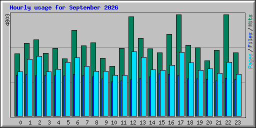 Hourly usage for September 2026